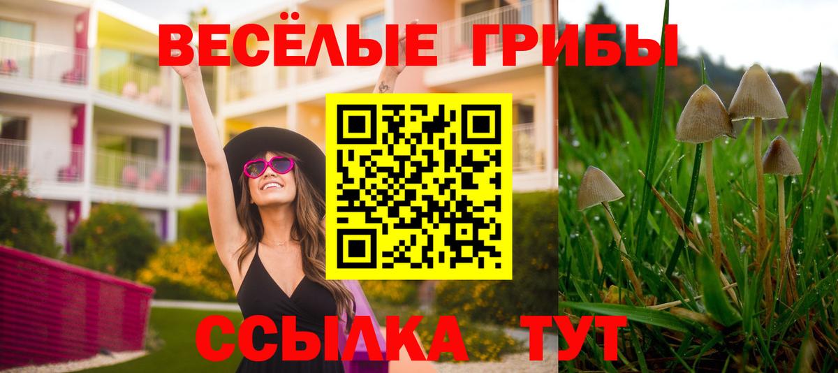 Галлюциногенные грибы MAGIC MUSHROOMS Баксан