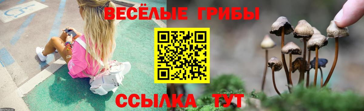 Галлюциногенные грибы Psilocybe  Вход с VPN  Баксан  Псилоцибиновые грибы Psilocybine cubensis 